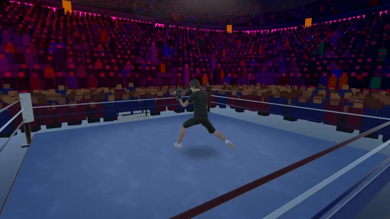 VR Boxing screenshot 1